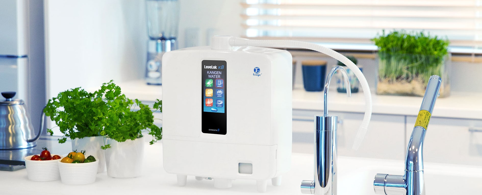 Enagic Corporation headquarters Japan